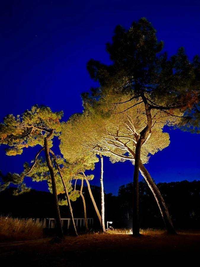 Les Salines Boyardville - Appart'Hotel Saint-Pierre-d'Oleron Eksteriør billede