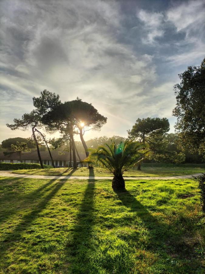 Les Salines Boyardville - Appart'Hotel Saint-Pierre-d'Oleron Eksteriør billede